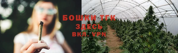 ПСИЛОЦИБИНОВЫЕ ГРИБЫ Балахна