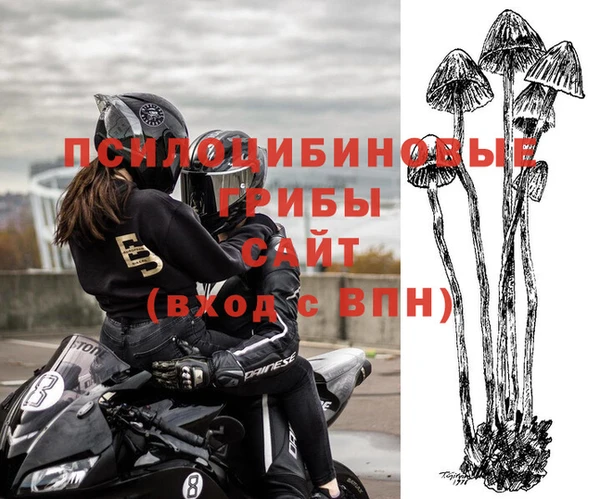 ПСИЛОЦИБИНОВЫЕ ГРИБЫ Балахна