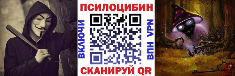 Псилоцибиновые грибы мицелий Рудня