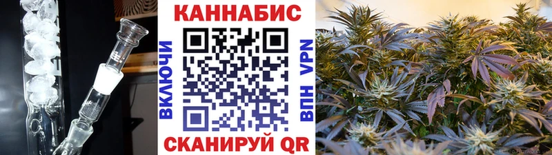 наркота Рудня Конопля SATIVA & INDICA